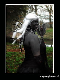 fantasy fair