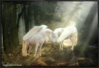 Pegasus moment