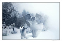 cristmas card nmr 2