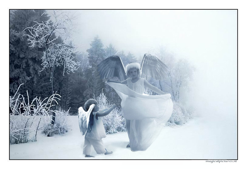 cristmas card nmr 2