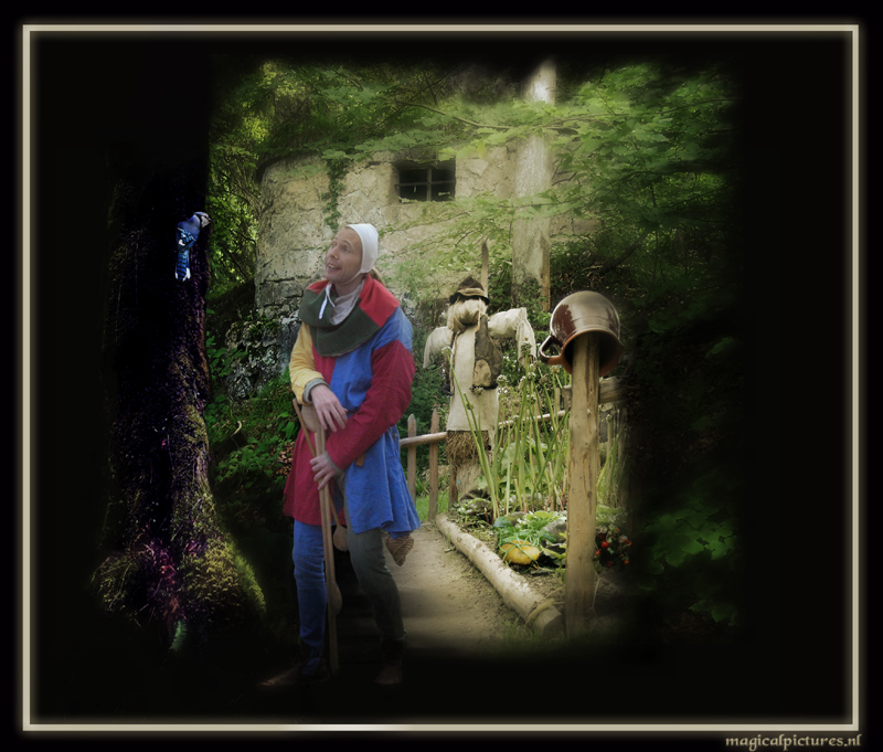 Johannes the jester ( Hans Rek) 