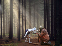 pickel and the unicorn